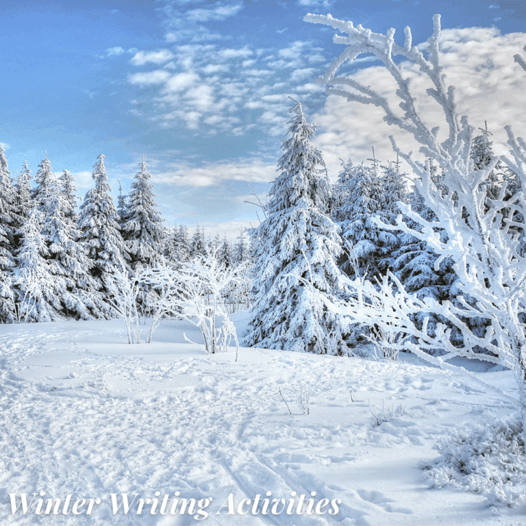 Secondary Winter Writing Activities